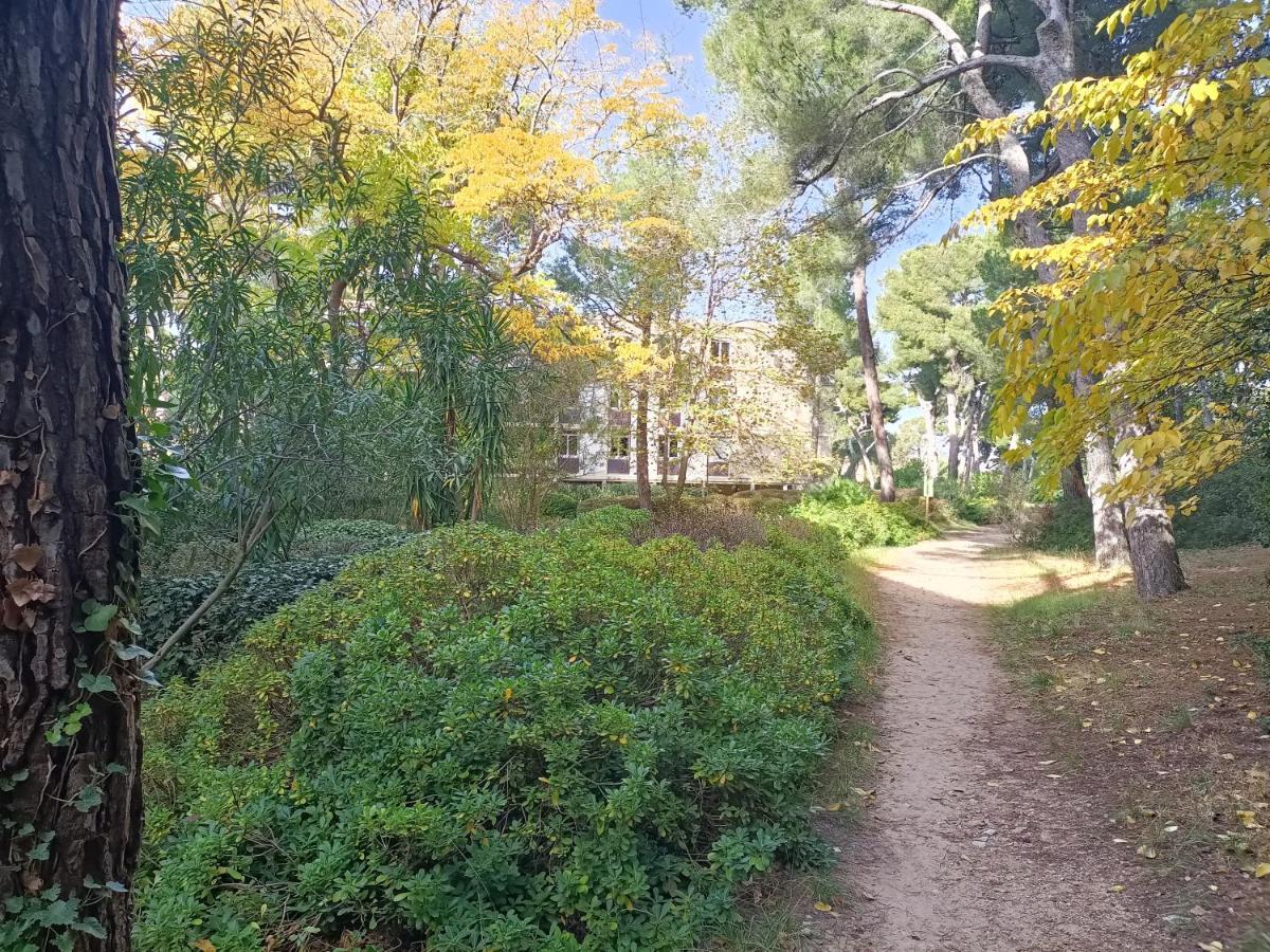 Vue Mer Et Montagne Dans Parc Du Roy D'Espagne, Up To 7 People Марсель Екстер'єр фото